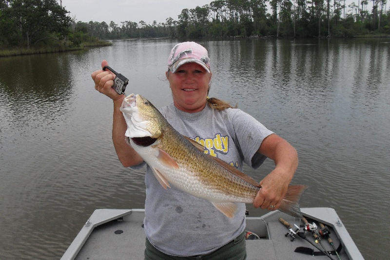 Terry's Nice Red Fish