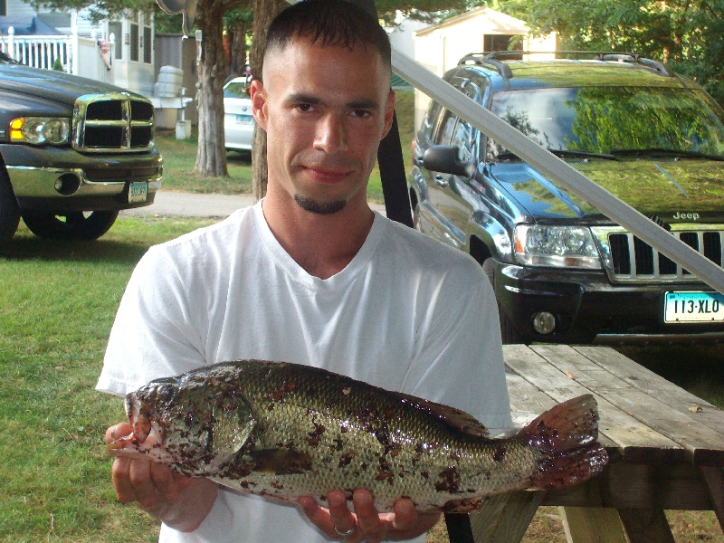 4.25 lb LMB