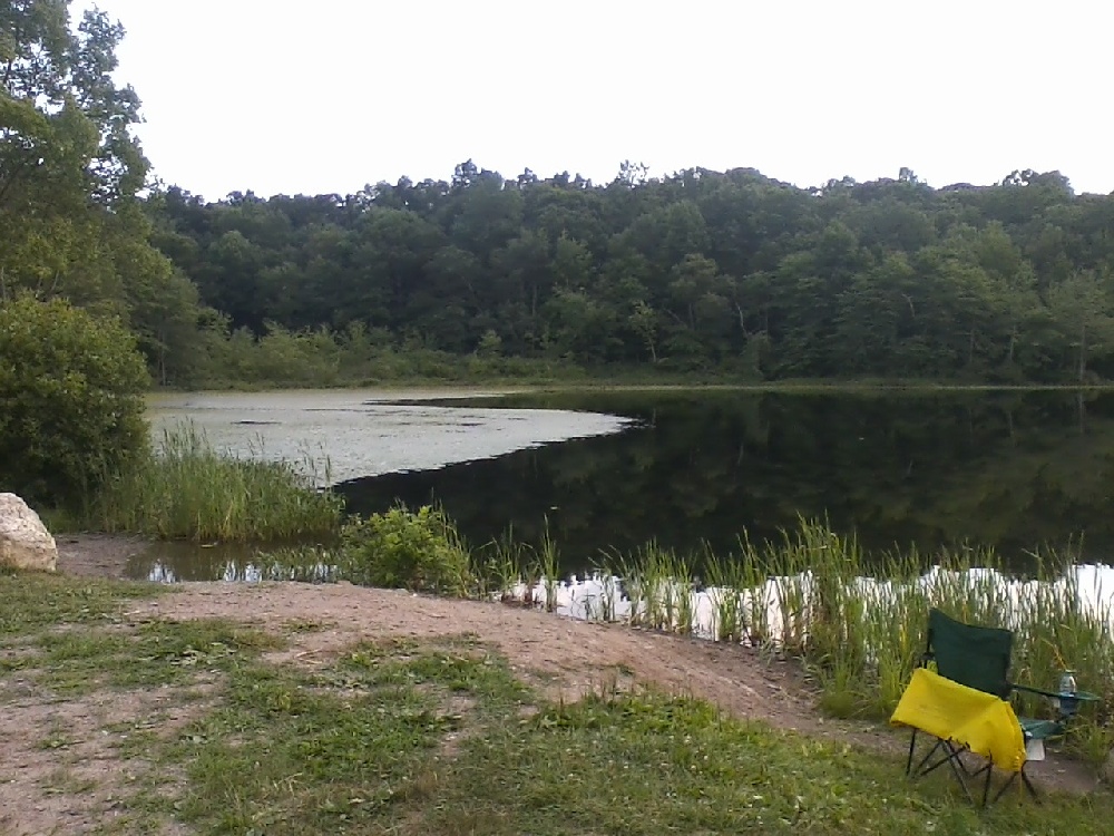 cove near the dock yields some nice bass