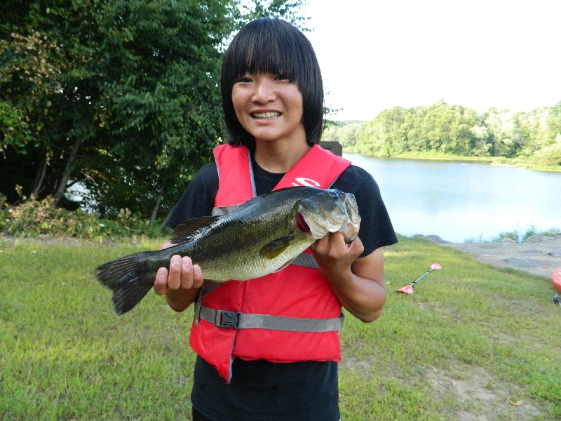 PB Bass