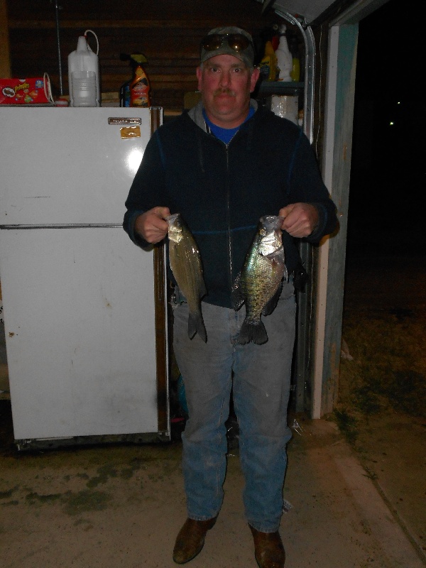 crappie