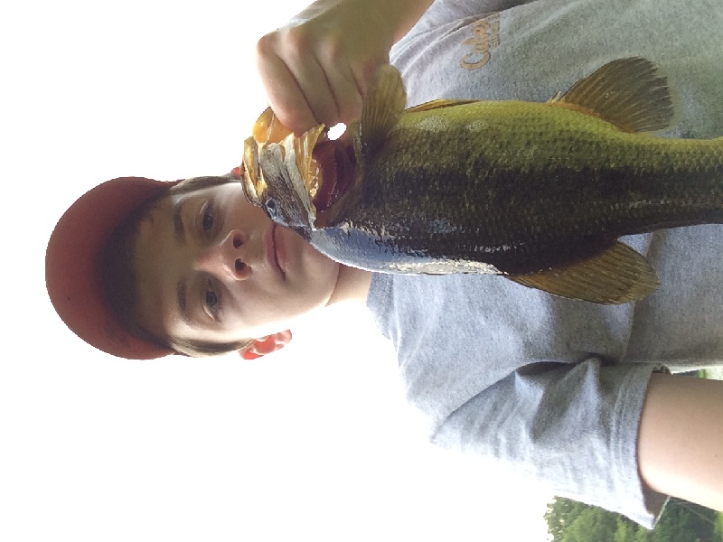 Largemouth Bass