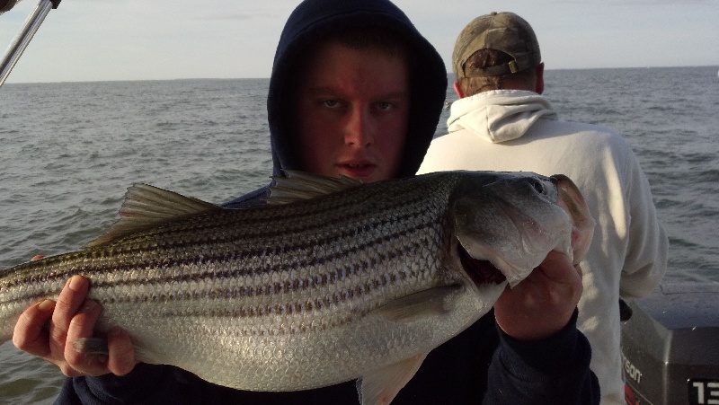 Delaware bay